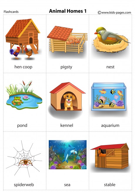 Animal Homes 1 flashcard